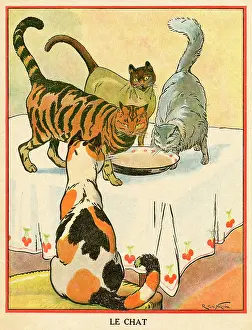 Cats: THREE CATS DRINK MILK