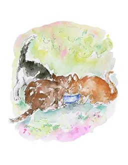 Bernice: Three Cats drinking from a bowl