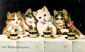 Saucer: Four cats drinking coffee