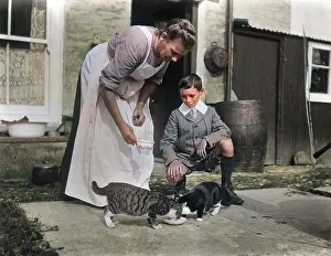 Splendidly: CATS DRINKING MILK