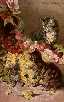 Clemence: Cats and Flowers