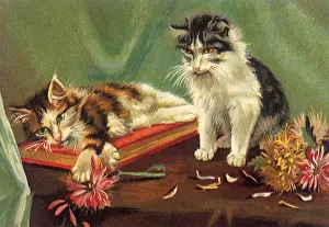 Positioned: Cats with Flowers