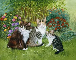 Winnie: Cats in the Garden