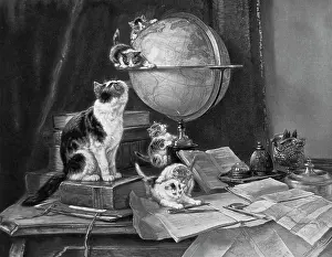 Grayham Chayney: Cats and kittens playing with a globe on a desk