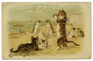Sandcastle: Cats and kittens at the seaside on a New Year card