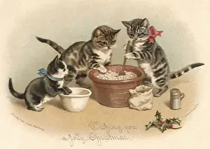 Batter: Cats Make Pudding