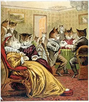 Behave: CATS PARTY