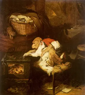 Landseer: The Cat's Paw, by Landseer
