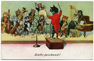 Clothed: Cats performing jazz