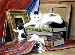 Ronner: Cats - Picture Frame - Books
