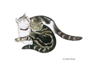 Pippin: Two Cats -'Pippin Washing Merry