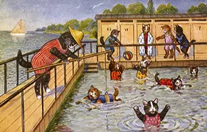 Afloat: Cats play in Swimming Pool