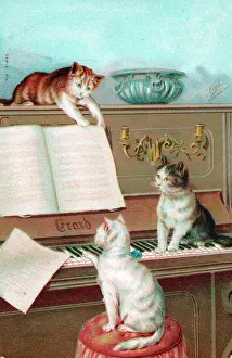 Erard: Three cats playing the piano on a greetings postcard