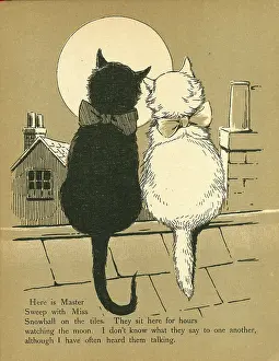Cats: Two Cats on a Roof
