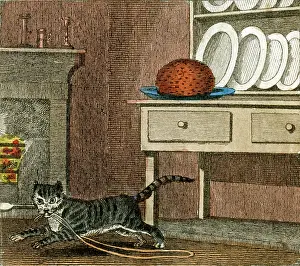 Misbehaviour: CAT'S RUN AWAY 1818
