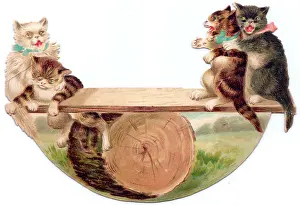 Seesaw: Four cats seesawing on a greetings card