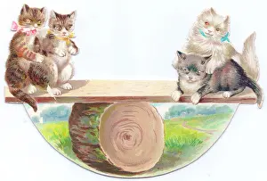 Seesaw: Four cats seesawing on a greetings card