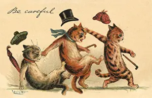 Slipping: Cats Slipping