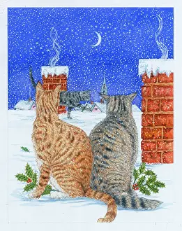 Tortoiseshell: Three cats on snowy rooftop looking at the moon