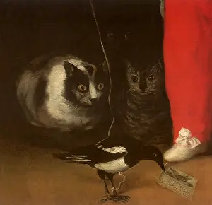 1788: Three Cats stare at a Magpie, by Goya
