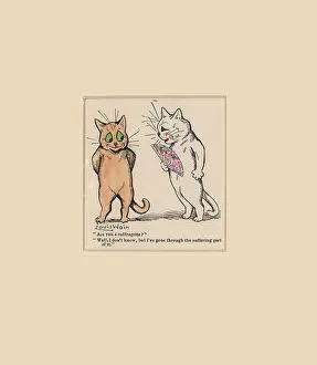 Replies: Cats, Are you a Suffragette?