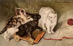 Clemence: Cats and Toy Rabbit