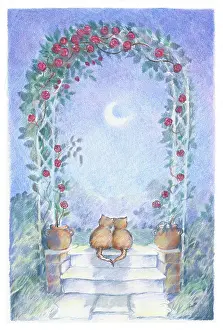 Endersby: Two cats under a trellis arch of roses