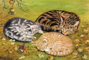Windfall: Cats among Windfall Apples