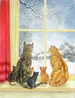 Tortoiseshell: Cats on window ledge with snow outside