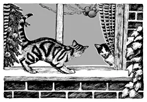 Sill: Cats on window sill looking at cat inside