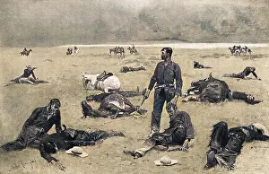 Unbranded: AFTER A CATTLE FIGHT