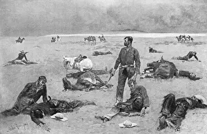 Unbranded: AFTER A CATTLE FIGHT