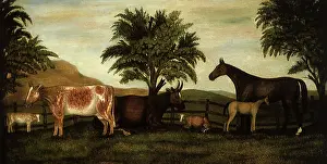 Barnyard: Cattle and Horses