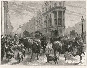Disruption: Cattle in London 1877