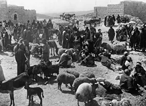 Goats: Cattle market in Bethlehem, around 1930