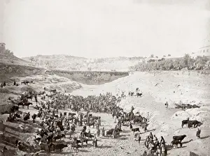 Siloam: Cattle market, Lower Pool of Gihon, (Siloam) Jerusalem