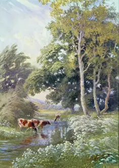 Walford: Cattle by the River Mole