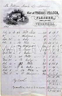 Invoice: CATTLE / BILL FOR SKINS
