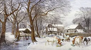 Snowscene: Cattle in Snow ' with farm and river