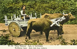 Yolk: Caucasian Farmer with Arba cart
