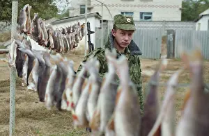 Bushukhin: The Caucasian special border military district