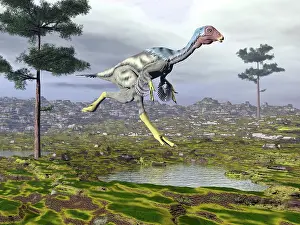 Puddle: Caudipteryx dinosaur