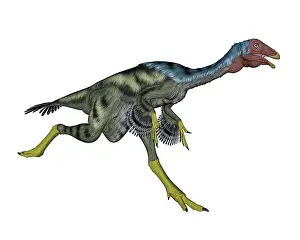 Oviraptorid: Caudipteryx dinosaur running