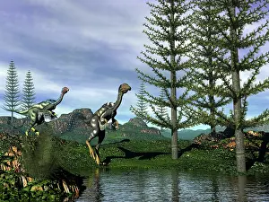 Tempskya: Caudipteryx dinosaurs at the water's edge next to tempskya ?