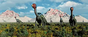 Alertness: A Caudipteryx nesting ground from the Cretaceous Period