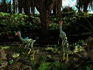 Alertness: Caudipteryx wander a prehistoric landscape