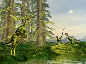 Tempskya: A Caudipteryx watching Dilong dinosaurs approaching