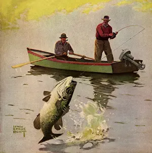 Bogue: Caught the Fish