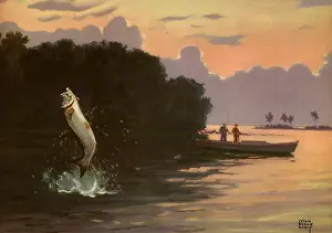 Bogue: Caught Fish leaping out of Water