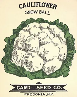 Cauliflower: Cauliflower Seed Packet
